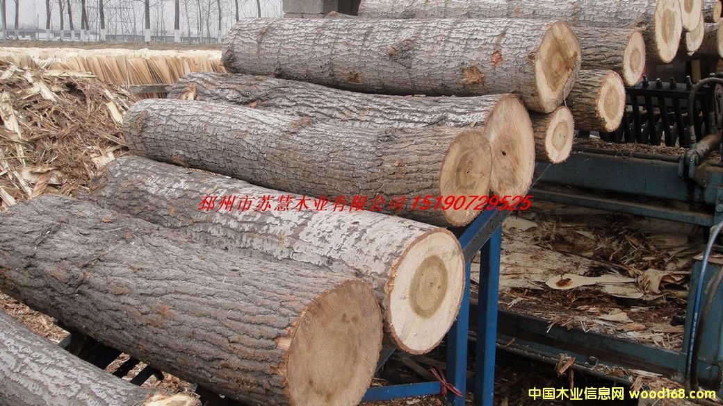 FSC��ľԭľ��Ԕ����B