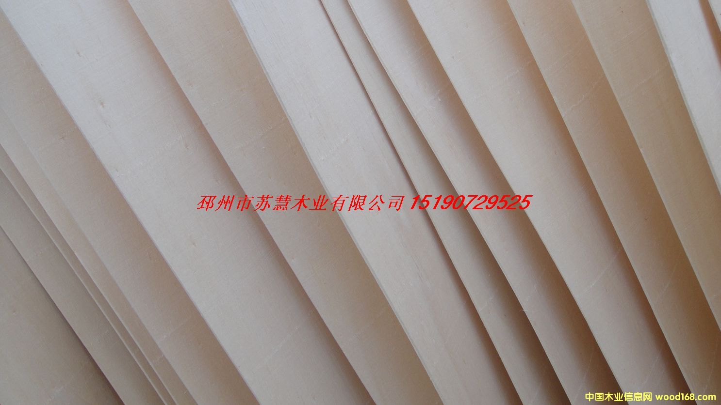 FSC��ľо���Ԕ����B