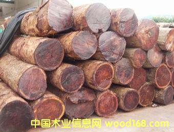 ���黨��ľ��Ԕ����B