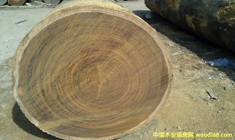 ���޲��}���Ԕ��(x��)��B