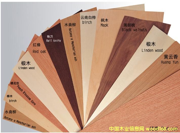 ���l���NľƤ��߅�l��Ԕ����B