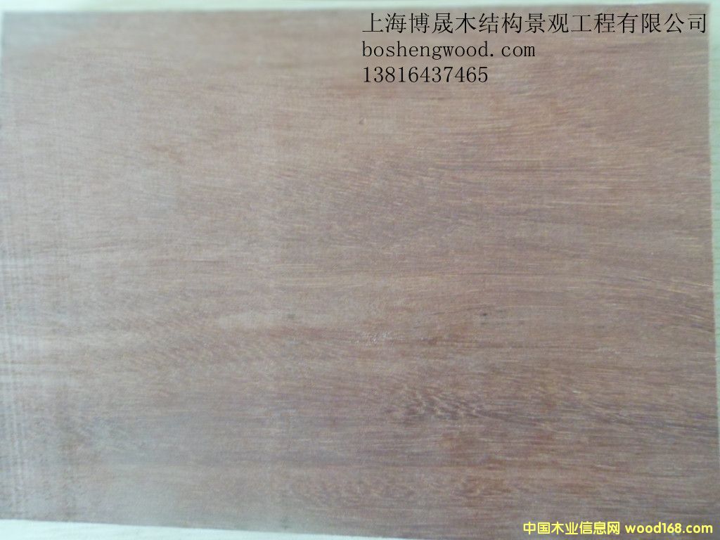 ��ľ��Ԕ����B