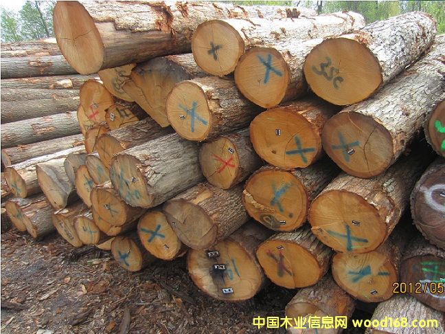 ��������ԭľ��Ԕ����B