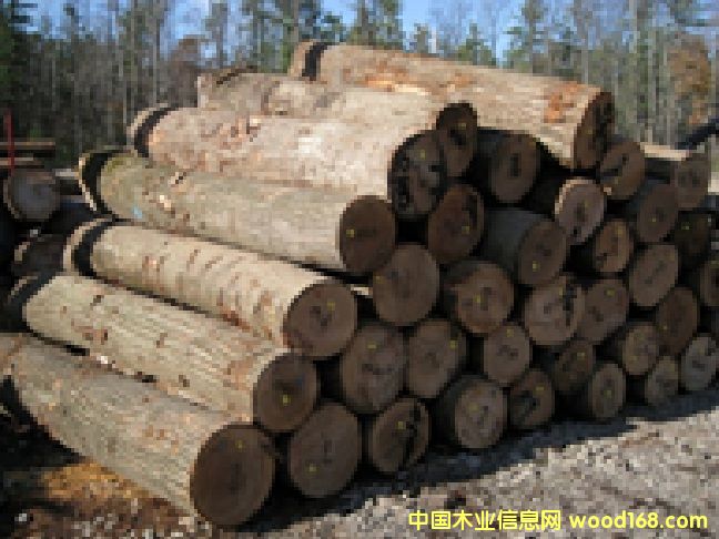 �����t��ԭľ��Ԕ����B