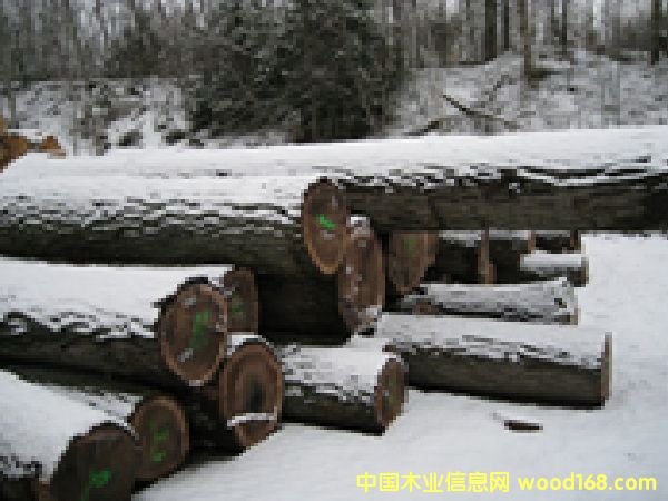 �����ں���ԭľ��Ԕ����B