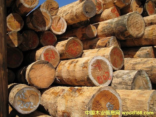 ��������ԭľ��Ԕ����B