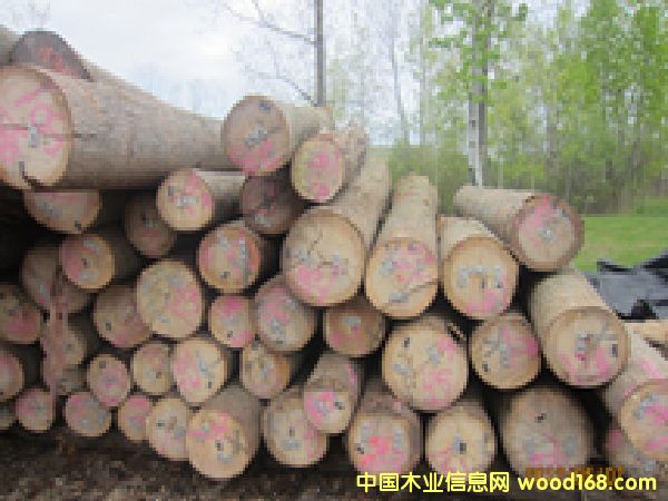 ����ɽ����ԭľ��Ԕ����B