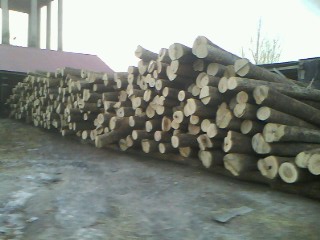 �ľ���вĵ�Ԕ����B