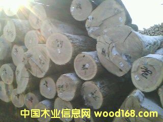 �ľ���вĵ�Ԕ����B