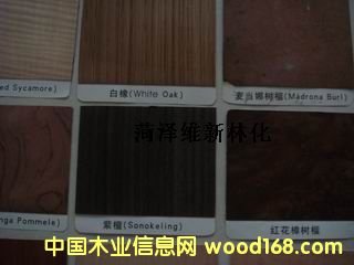 ���I�ṩ���N��ȻľƤƯ���¼��g