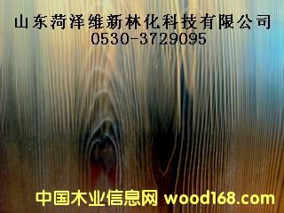 ľ��̿��̎�턩