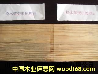 ��ľ�{׃������