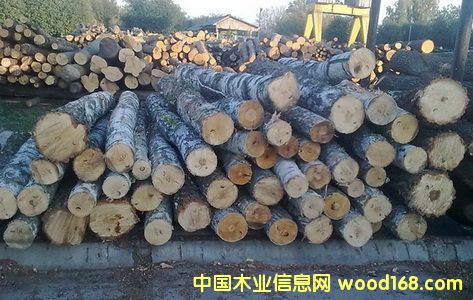 �����m��ľ��Ԕ����B