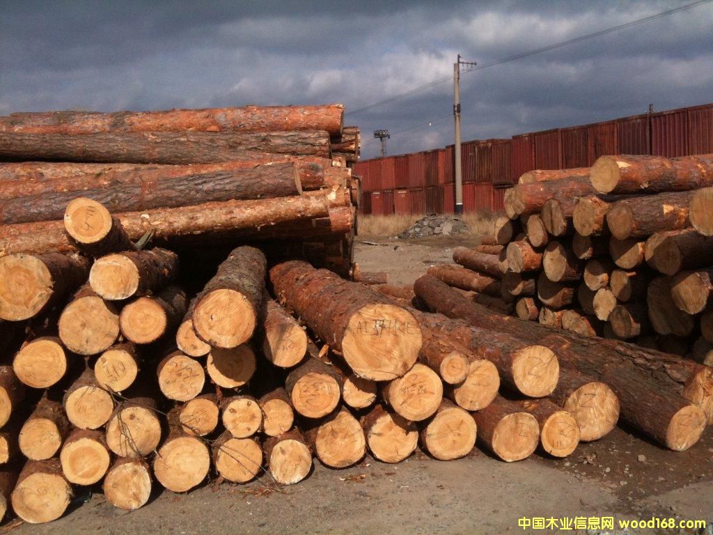 �����m�����ɵ�Ԕ����B