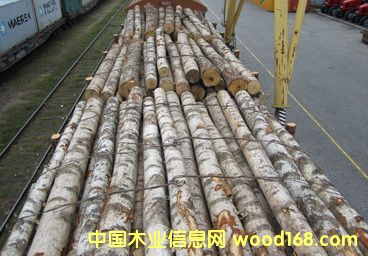 �׶��_˹��ľ��Ԕ����B