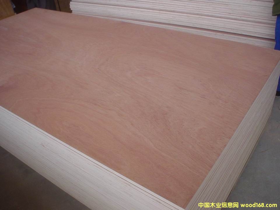 ����(y��ng)չ�[չʾ�ð��Ԕ��(x��)��B