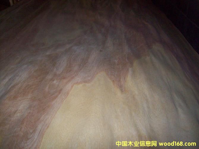 ������Ƥ��Ԕ����B