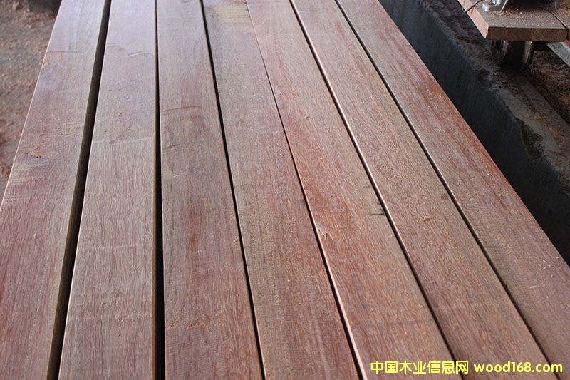 ����˹��Ԕ����B