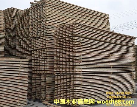 ����ľ ��Ԕ����B