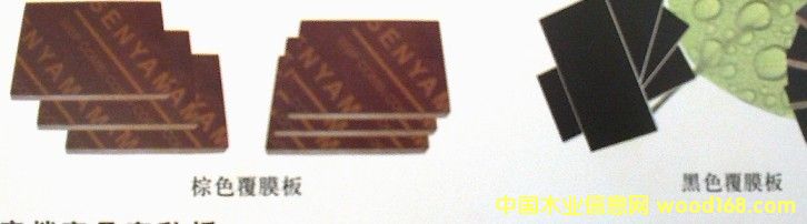 ����ģ���Ԕ����B