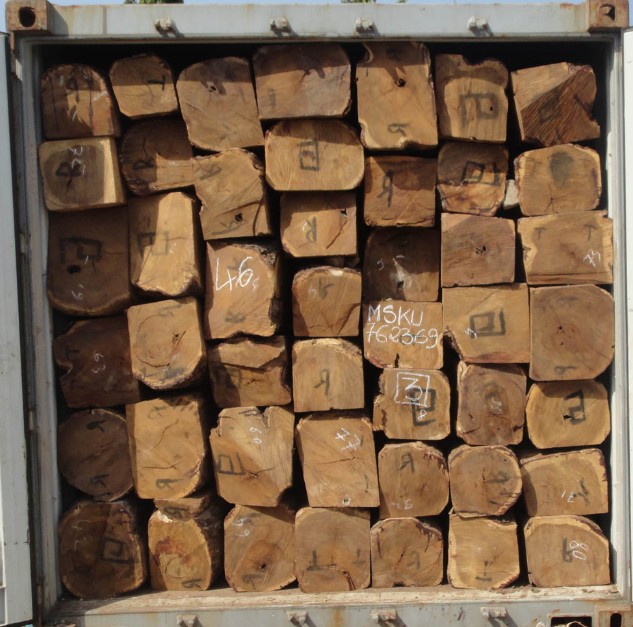 �����S�����Ԕ����B