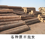 ���_˹�M�����~�����ӵ�Ԕ����B