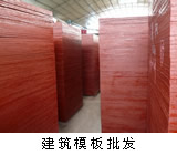 ����ģ���Ԕ����B