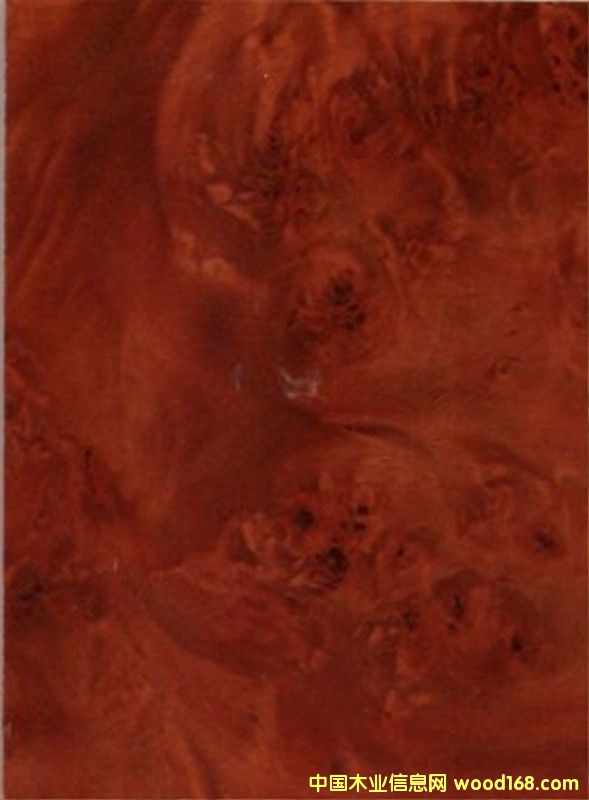 ֪��uv�壬���xuv�b��Ԕ����B