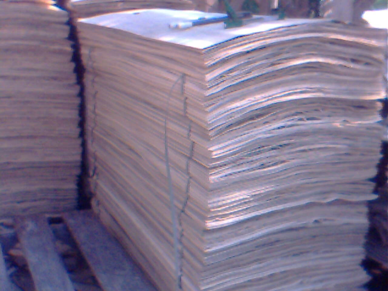 ��ľ��Ƥ��Ԕ����B