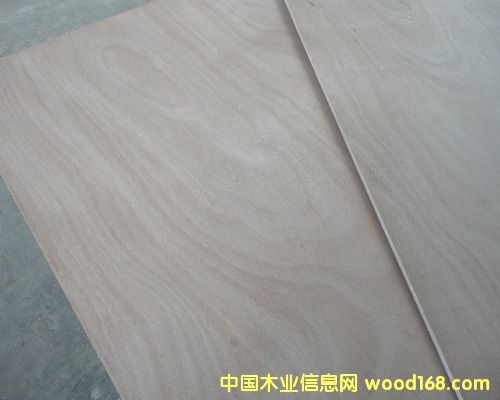 Ⱥ�����Ӱ�9mm��Ԕ��(x��)��B