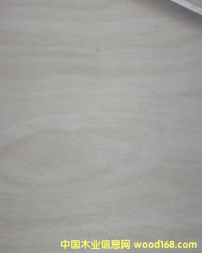 16mm��(x��)ľ�����Ԕ��(x��)��B