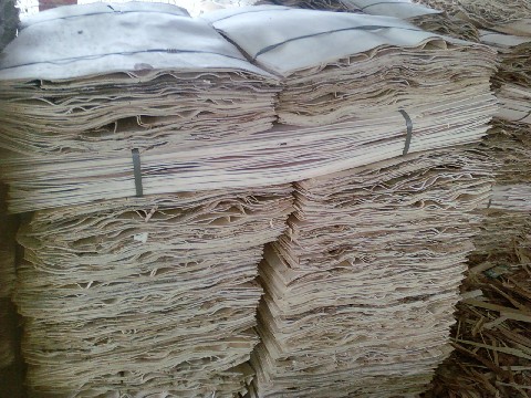 ��ľ�ΰ��Ԕ����B