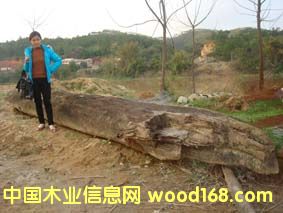 ꎳ���z�ľ��Ԕ����B