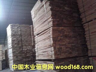 ��ľ��Ԕ����B