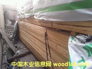 ���~�������ɵ�Ԕ����B