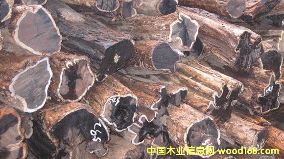 ���ޞ�ľ���Ϲ�̴���|�Ǻ��S̴��Ԕ����B