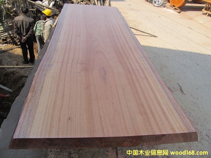 �c(di��n)���鿴��(sh��)ľ���/�����S������/���K��(sh��)ľ����_/����/�S�Ҷ����Ŵ�DƬ