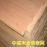 ��ľ����(����о����Ԕ����B