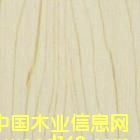 ���B�壨��ľ����Ԕ����B