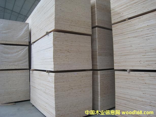 ��ľ���壨ɼľо����Ԕ����B