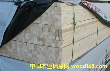 �M(j��n)����ľ��Ԕ��(x��)��B