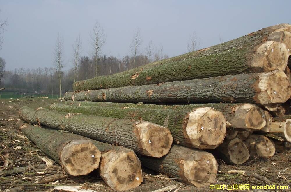 �W�ޗ�ľ��Ԕ����B