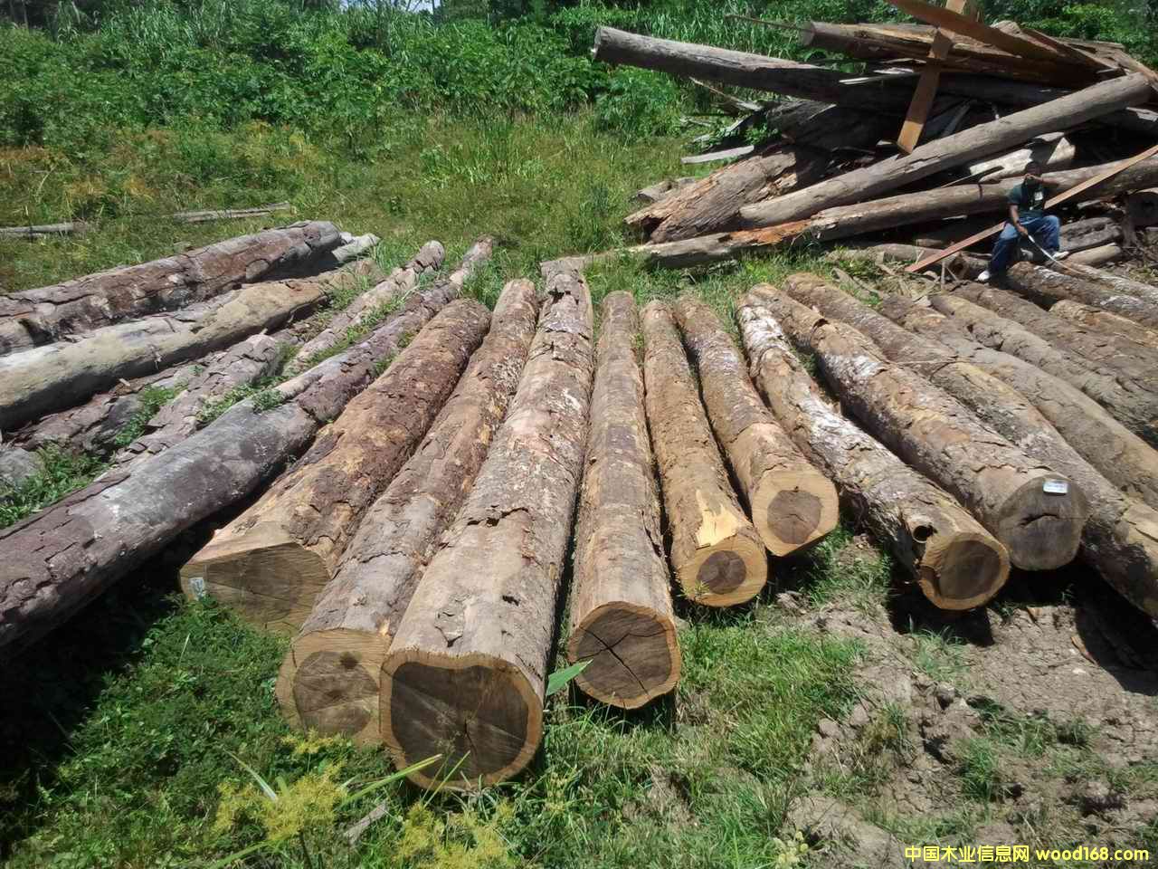 �Fľ����Ԕ����B