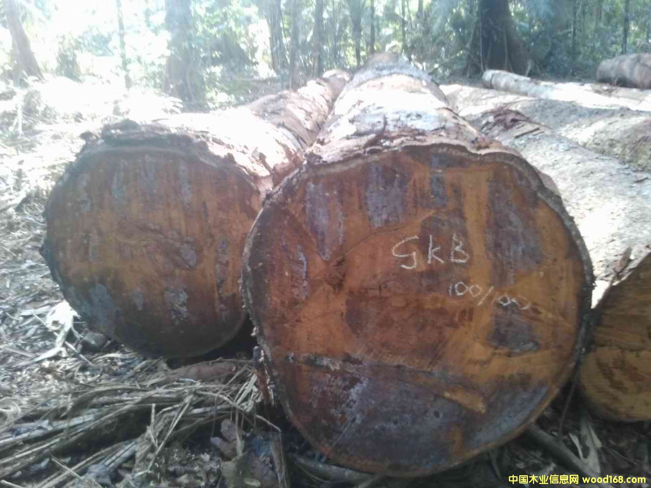 ��̩����Ԕ����B