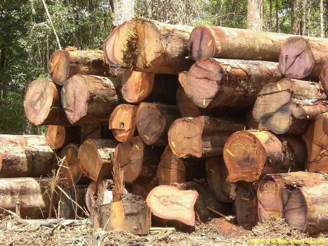 �sӲľ��Ԕ����B