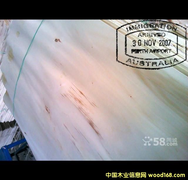 ��ľƯ�״�Ƥ��Ԕ����B