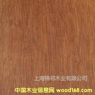 ɽ��ľ��Ԕ��(x��)��B