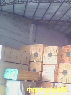 �����ɵ�Ԕ����B