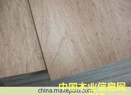 12�彨��ģ��