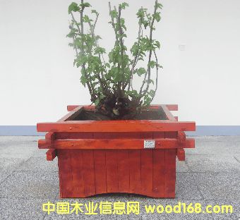 ���v����ľ��Ԕ����B